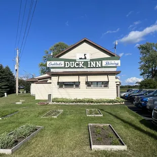 Outside vegetable garden beds