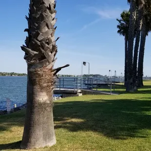 Plenty of piers for everyone.