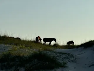 Corolla Outback Adventures