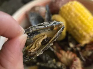 Ugly Crab