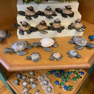 a display of sea turtles