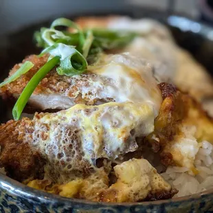 Katsudon