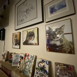 interior, sushi and sashimi