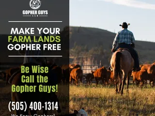 Gopher Guys