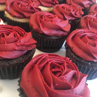 Chocolate cupcakes