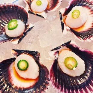 Peruvian Scallops