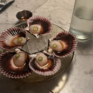 Scallop Crudo