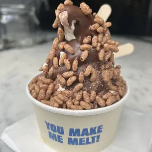 Koala crackle sundae from Dudley's deli window - amazing