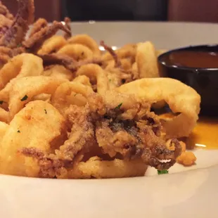 Calamari