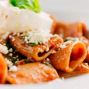 Pomodoro Rigatoni with Burrata