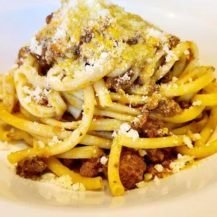 Bolognese bucatini