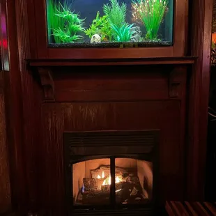 a fireplace with a fish tank on top