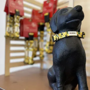 a black dog with a yellow collar