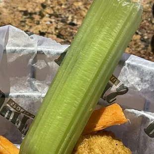 A single Soggy celery spaghetti...I mean stick.