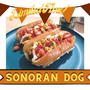 two hotdogs on a blue plate