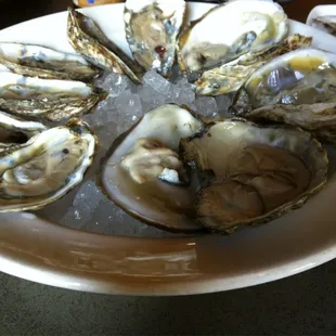 Shuck'en out with oysters