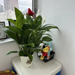 Duke City Floral