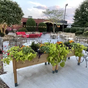 a table with planters on it