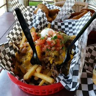 Awesome Carne asada fries!