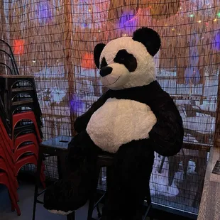 interior, sushi and sashimi