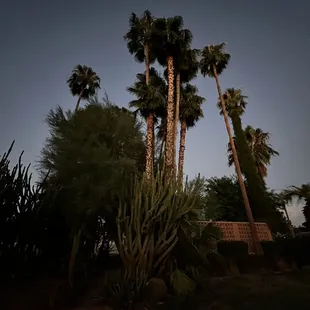 We walked the grounds afterwards. Beautiful.