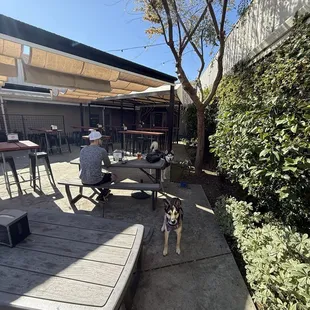 Outdoor seating