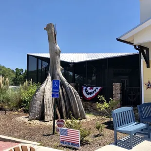 a tree trunk with a flag on it