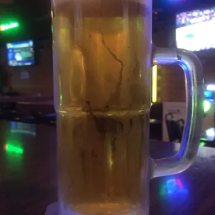 Large draft beer. $3.25