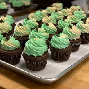 dessert, food, cupcakes