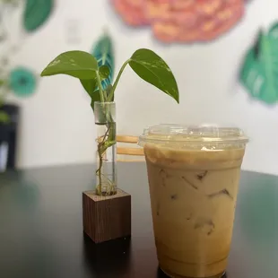 Iced Dulce de Leche Latte