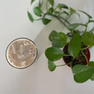 a glass of coffee and a potted plant