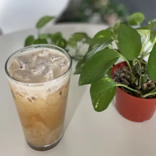 a glass of iced coffee next to a potted plant
