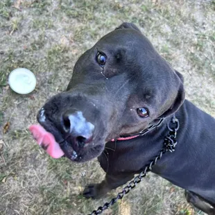 Can u tell he loved it!!!! First timer! Lmao