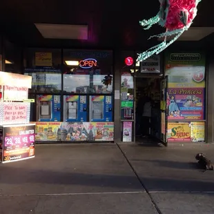 a cat walking in front of a store