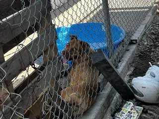 Fiesta Party Supplies No 1