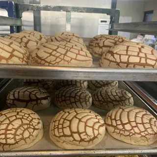 Conchas