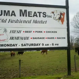 Sign in front of Duma&apos;s with cows in the background.