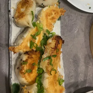 Pan Fried Dumplings