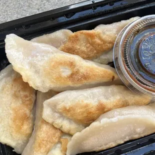 Pan Seared Pork Dumplings