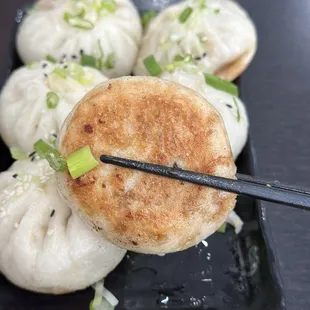 Shanghai Pan Fried Soup Dumpling (6)