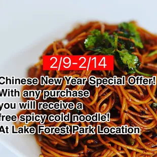 Chinese new year special