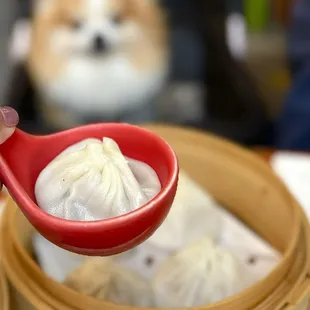 Fav XLB in the city!