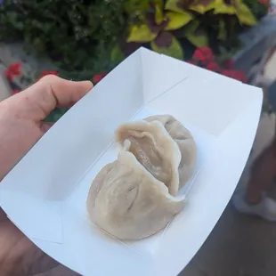 Pork dumplings