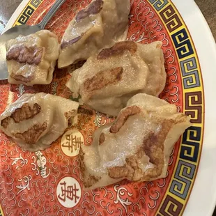 fried or steamed dumplings