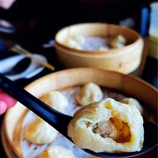 Exposed Shanghai Style Soup Steamed Dumplings!