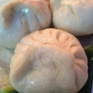 Shanghai Pork Pan Fried Buns