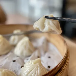 Shanghai-Style Steamed Pork Dumplings