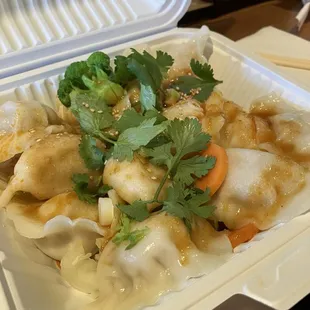 Schezuan Spicy Dumpling