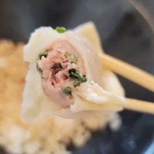 Pork and cabbage dumpling.