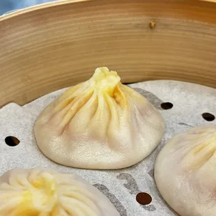 Numb and spicy pork xlb- the best!!!